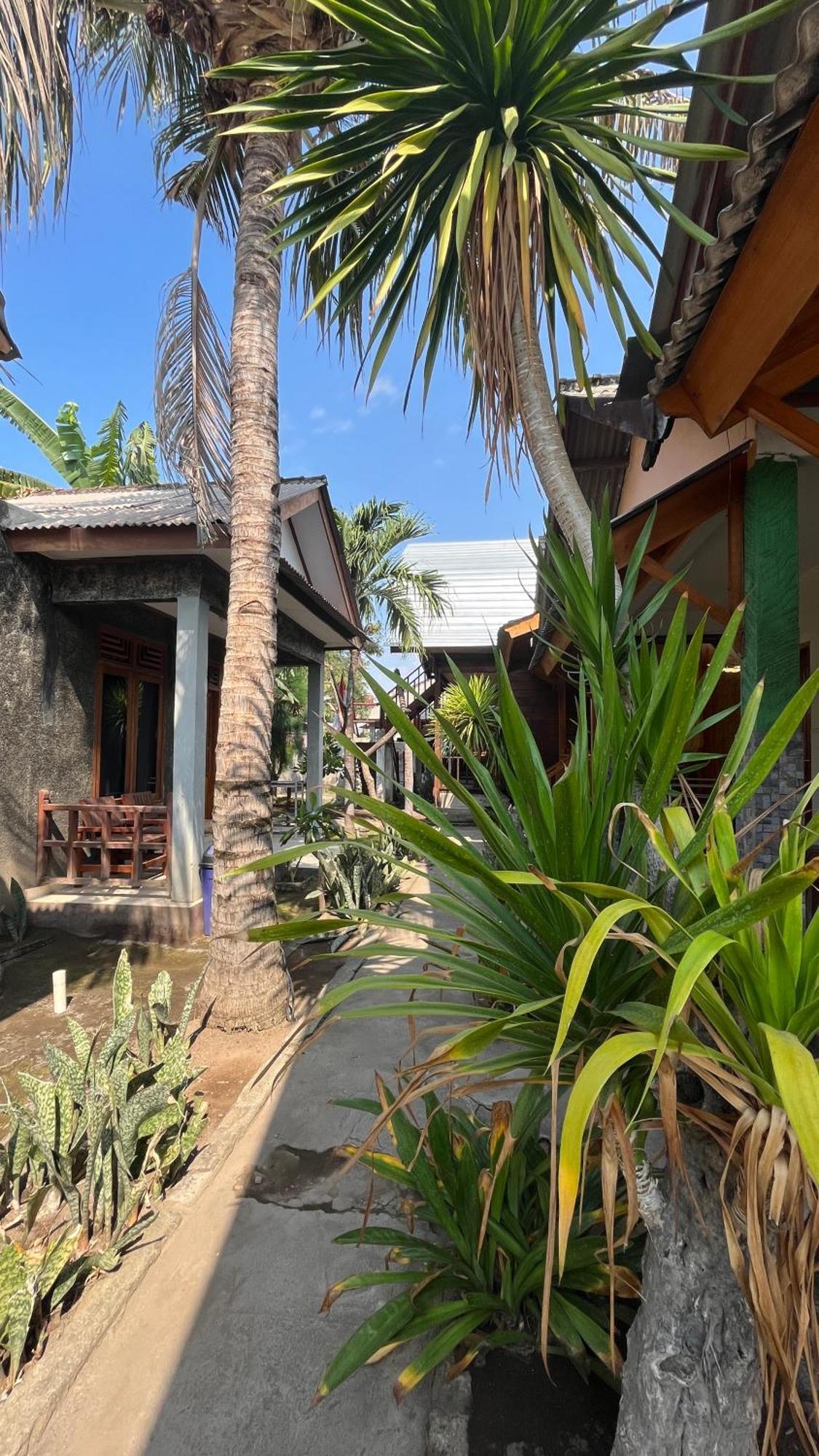 Coral Voice 1 Homestay & Lumbung Gili Trawangan Exterior foto