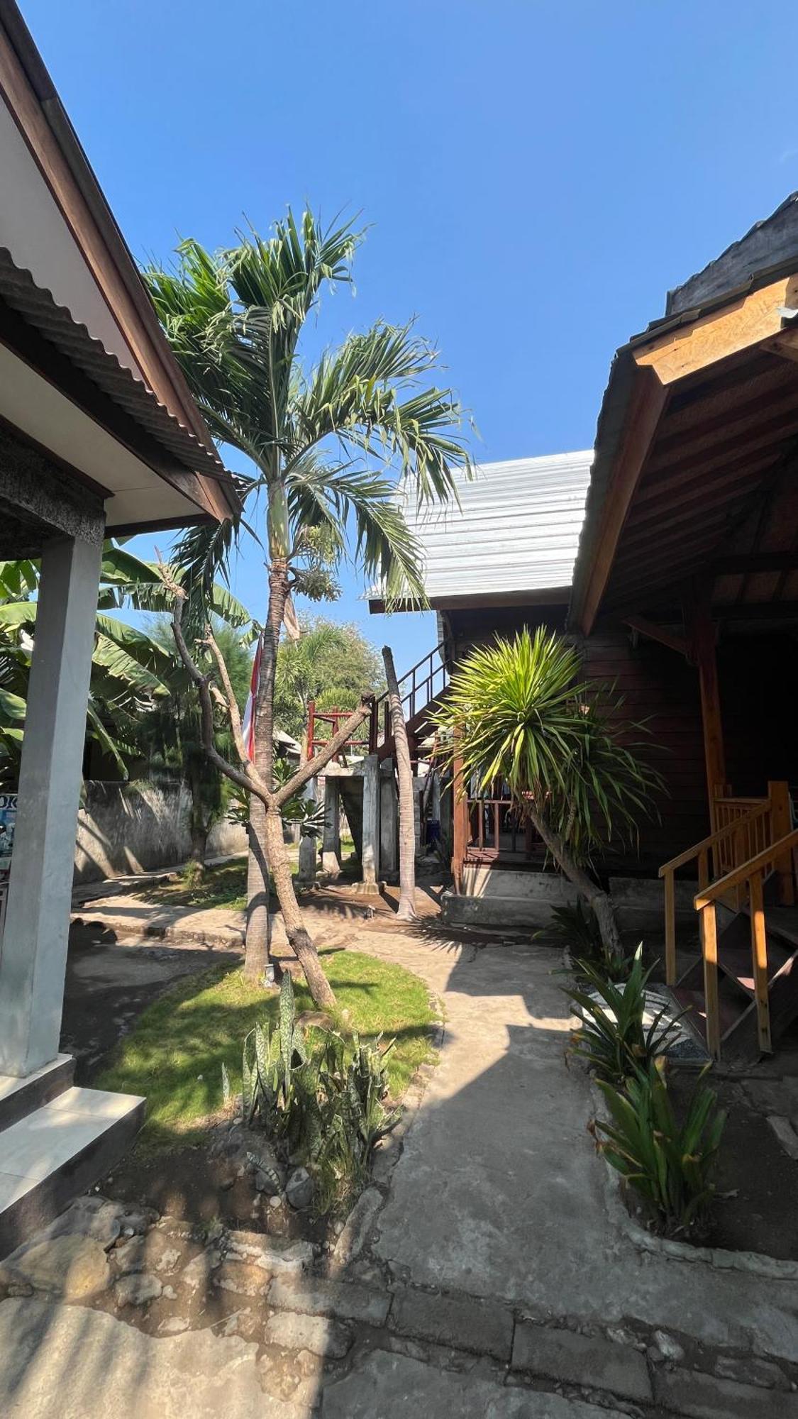 Coral Voice 1 Homestay & Lumbung Gili Trawangan Exterior foto